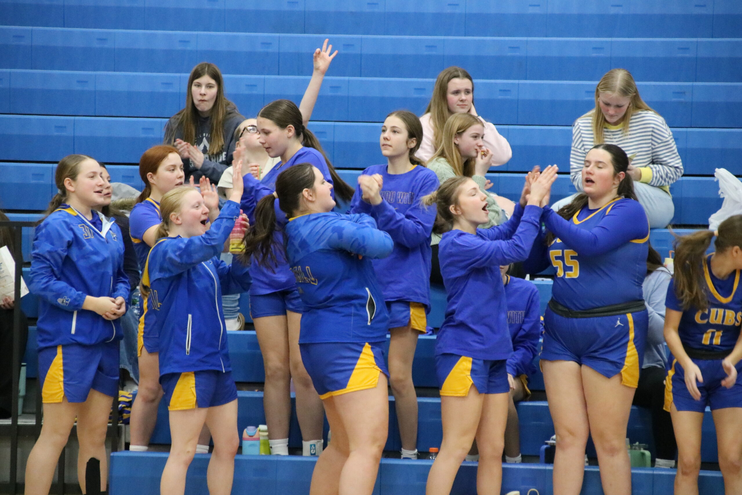 Cub girls routed by Wolves, bounce back with two wins