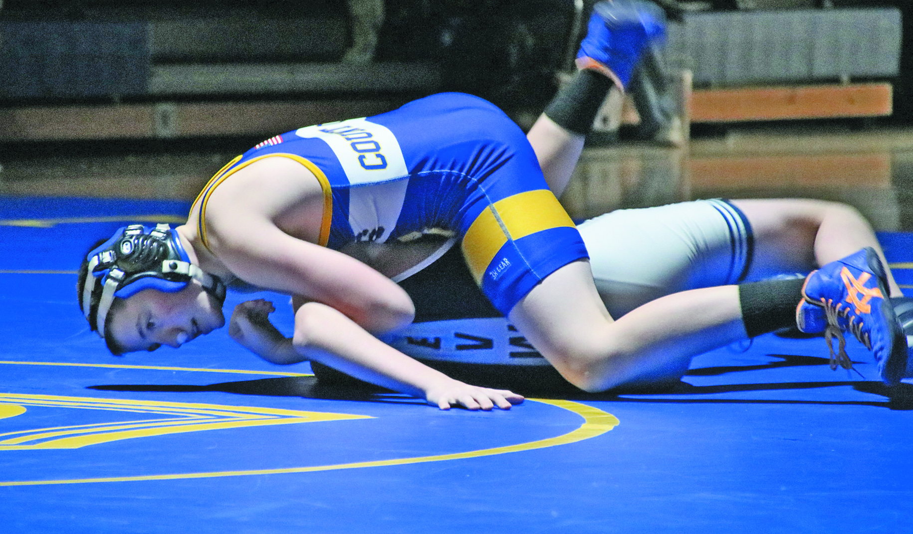 Cub wrestlers fall in section semifinals